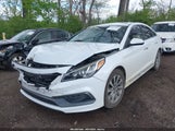 HYUNDAI SONATA SPORT 5NPE34AFXGH284435 fotografie