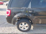 FORD ESCAPE XLT 1FMCU93138KD65438 снимка