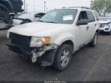 FORD ESCAPE XLT 1FMCU0DGXAKB20477 снимка