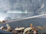 HYUNDAI TUCSON LIMITED KM8JUCAC6DU576625 снимка