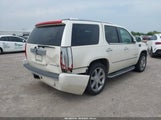 CADILLAC ESCALADE STANDARD 1GYFK63838R213504 снимка