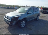 TOYOTA RAV4 LIMITED JTMBD31V686055134 снимка