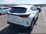 LEXUS NX 350 LUXURY JTJHGCEZ9R2011147 photo