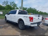 FORD F-150 XLT 1FTEW1EG6FKE07690 снимка
