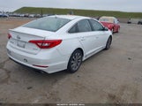HYUNDAI SONATA SPORT 5NPE34AFXHH450678 photo