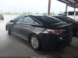 HYUNDAI SONATA HYBRID SE KMHE24L12GA037983 fotografie