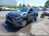 TOYOTA RAV4 LE 2T3H1RFV4KW041916 снимка