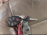 BUICK TERRAZA CXL 5GADV33L15D166006 снимка