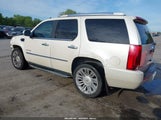 CADILLAC ESCALADE LUXURY 1GYUKBEF6AR122941 снимка
