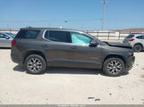 GMC ACADIA FWD SLE 1GKKNKLAXLZ166105 photo