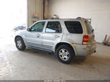 FORD ESCAPE LIMITED 1FMYU94176KC07783 снимка