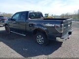 FORD F-150 XLT 1FTFX1EF1BFA36935 снимка