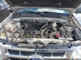 FORD ESCAPE XLS 1FMCU0C7XCKB89075 fotografie