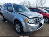 FORD ESCAPE XLS 1FMCU0C7XCKB89075 fotografie