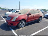 CADILLAC SRX PREMIUM COLLECTION 3GYFNCEYXAS538141 снимка