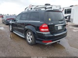 MERCEDES-BENZ GL 450 4MATIC 4JGBF7BE5AA540329 снимка