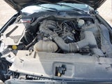 Ford Mustang 1FA6P8AM0F5384997 снимка