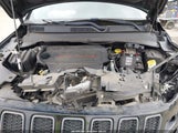JEEP COMPASS TRAILHAWK 4X4 3C4NJDDB3JT451658 снимка