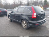 HONDA CR-V LX 5J6RE4H34BL049048 снимка