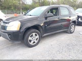 CHEVROLET EQUINOX LS 2CNDL13F766199428 снимка
