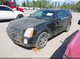CADILLAC SRX V8 1GYEE63A540181451 снимка