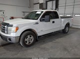 FORD F-150 XLT 1FTFX1CT9BFB10353 снимка