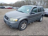 Ford Escape Xlt 1FMYU931X5DA05038 снимка