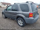 Ford Escape Xlt 1FMYU931X5DA05038 снимка