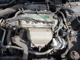 HONDA ACCORD LX 1HGCG6654XA145126 снимка