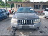 JEEP GRAND CHEROKEE LAREDO/COLUMBIA/FREEDOM 1J4GX48N94C406537 fotografie