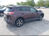 TOYOTA RAV4 XLE 2T3WFREV5HW373141 снимка