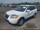 HYUNDAI SANTA FE SE 5NMSH73E49H317438 снимка