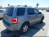 FORD ESCAPE XLT 1FMCU03168KE37437 снимка