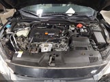HONDA CIVIC LX 2HGFC4B51GH308545 снимка