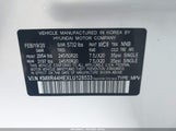 HYUNDAI PALISADE SEL KM8R44HEXLU128533 снимка