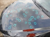 MAZDA MAZDA3 I TOURING 3MZBM1L74FM203049 снимка