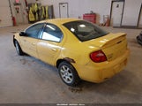 DODGE NEON SXT 1B3ES56C14D621133 photo