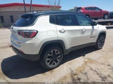 JEEP COMPASS TRAILHAWK 4X4 3C4NJDDB4KT780239 снимка