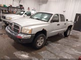 DODGE DAKOTA SLT 1D7HW48N85S271477 снимка