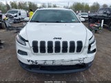 JEEP CHEROKEE HIGH ALTITUDE 1C4PJMDB1GW310020 снимка