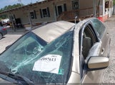 HONDA ACCORD 2.4 LX 1HGCM56495A120214 photo