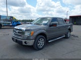 FORD F-150 XLT 1FTFW1CF1DFB16289 снимка