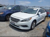 HYUNDAI SONATA 5NPE24AF4HH585089 снимка