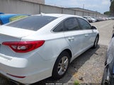 HYUNDAI SONATA 5NPE24AF4HH585089 снимка