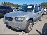 FORD ESCAPE XLT/XLT SPORT 1FMYU93146KA41949 fotografie