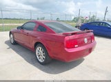 FORD MUSTANG V6 DELUXE/V6 PREMIUM 1ZVFT80N175279478 снимка