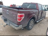 FORD F-150 FX2 SPORT/XL/XLT 1FTEW1C82AFA71288 photo