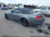 FORD MUSTANG V6/V6 PREMIUM 1ZVBP8EN1A5178265 photo