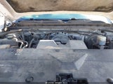 CHEVROLET SILVERADO 1500 WT 1GCRCNEH1GZ404490 снимка