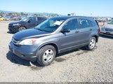 HONDA CR-V LX 5J6RE3H36BL023593 снимка